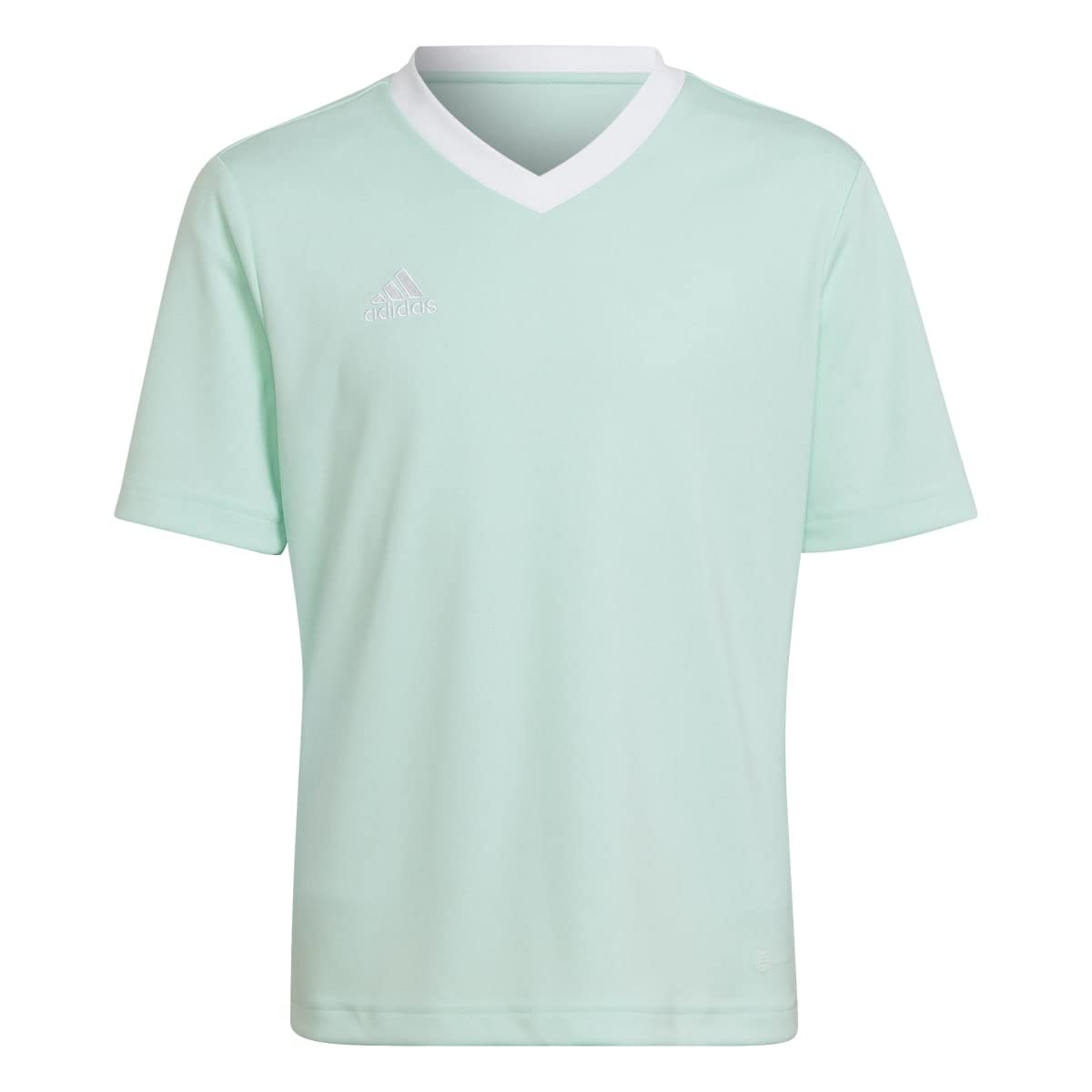 adidas Unisex Kinder Entrada 22 Jersey, Clear Mint, 9-10 Years