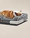 Feandrea Orthopädisches Hundebett für mittelgroße Hunde, wasserdichtes Hundesofa mit abnehmbarem Plüsch-Bezug, 91 x 68 x 16 cm, schiefergrau PGW252G02