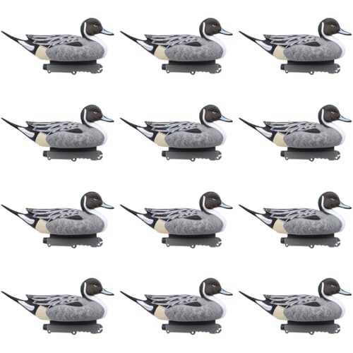 Final Approach Last Pass Floating Pintail Decoy, 12 Pack