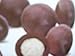Milk Chocolate Covered Malt Balls, Gourmet Quality, 1 Lb