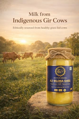 Image of GirTattva Organic A2 Gir Cow Desi Ghee 250ML | Bilona Method | Curd-Churned & Cultured |Pure, Natural & Danedar| Lactose-Free,Gluten-Free | Grass-Fed | Lab Tested |Immunity Booster|Glass Jar-Pack of 1