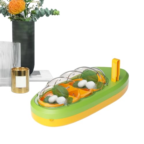 Récipient d'éclosion ver à soie transparent à ventilation optimale pour ado