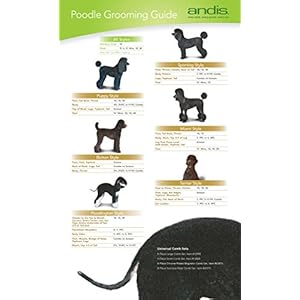 Andis pet pet clipper blade size 34ht 34 inch cut length 63910   cucciolini doodles