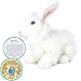TigerHart Wren The White Rabbit - 10 Inch Stuffed Animal Plush
