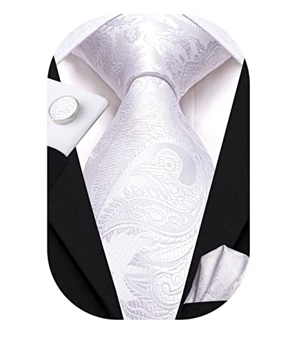 Image of Hi-Tie Paisley Floral Ties Set for Men Silk Mens Stripes Necktie Pocket Square Cufflinks Set Formal Business