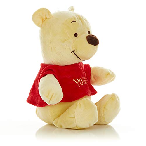 Kids Preferred 79144 Disney Baby Winnie The Pooh And Friends Stuffed Animal thumb #3