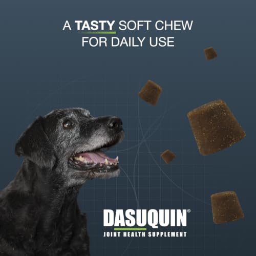Nutramax Dasuquin Senior Joint Supplement for Large Dogs Soft Chews 84ct | Glucosamine and Chondroitin Soft Chews for Older Dogs, Joint, Skin & Coat, Brain & Immune Support, For Large Dogs - image 4