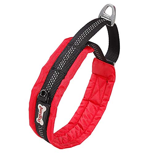 Collier de dressage pour chien qui tire pour stopper la traction en laisse