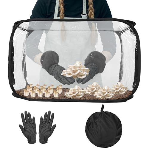 ohbien Mushroom Growing Still Air Box 32x20x20in, Pop Up Portable Mushroom Grow Tent Kit with Mushroom Grow Bags and 5 Pairs Gloves for Home Scientist Mushroom Growers