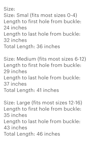 Peruvian Embroidered Flower Wool Belt, Hand Embroidered - Harvest Bloom3