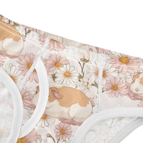 Wusikd Cute Guinea Pigs Boys' Underwear Cotton Boys Briefs Soft Toddler Underwear 2T4