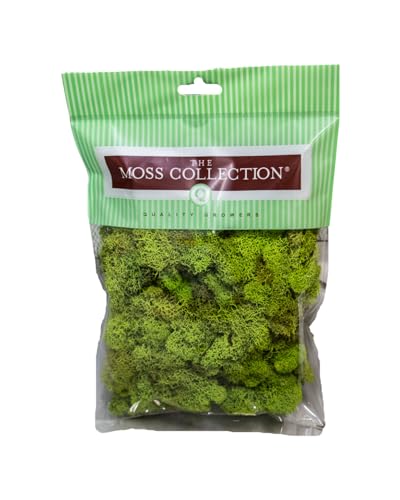 Quality Growers Preserved Reindeer Moss