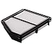 ECOGARD XA10496 Premium Engine Air Filter Fits 2016-2025 Honda Civic, 2023-2025 HR-V, 2014 Renault Trafic