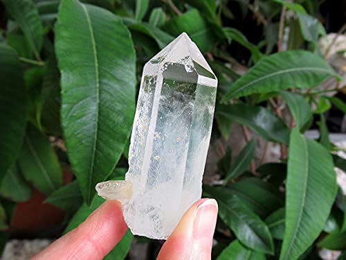 Amazon.co.jp: チタニウムインクォーツ（パスウェイクォーツ）原石