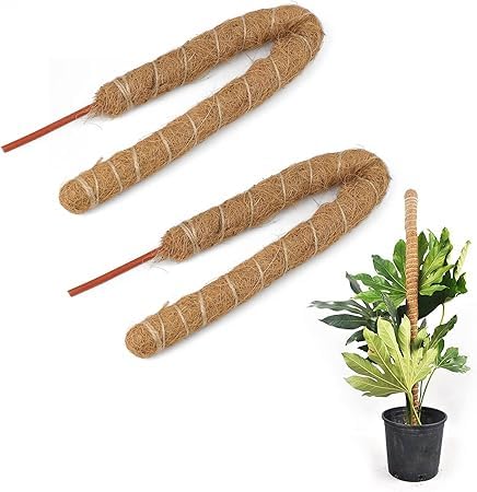 2 Pcs Plant Supports for Indoor Plants, 3 ft Bendable Moss Poles, Monstera Support, Plant Stakes, Plant Support Indoor Suitable for Indoor Potted Plants, Climbing Plants-image-3