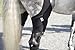 Ice Horse Pony Size Pair Stifle Wrap for Equine Therapy - Comes with 4 Ice Packs