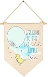 Welcome To The World Little One-Baby Announcement Decor-Congratulations New Baby Gift-Baby Gift Shower-Flag Decor Gift For Baby Boys Girls Newborn-Banner Wall Sign Gifts For Nursery Baby Room