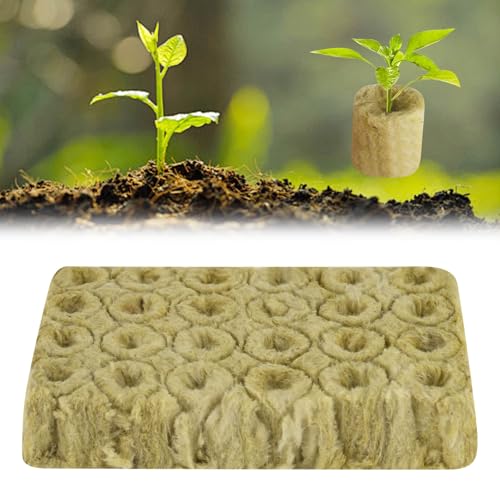 XCRPRT 24 Stück Steinwolle Würfel Steinwolle Set Steinwolle Grow Anzucht Anzuchtmatte Bodenlos Hydrokultur Anzuchtmatte Rockwool Cube Steinwollwürfel für Stecklinge Klonen Anzucht 2 * 2.7cm