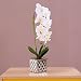 IMIEE Artificial Phaleanopsis Arrangement with Vase Decorative Orchid Flower Bonsai