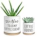Cgvovgr Say Aloe to My Little Friend Small Planter Pot, Funny Succulent Planter Pots Set of 2, Windowsill Decor Indoor, Small Succulent Pots for Women Plant Lovers, 3.5 inch (Plant Not Included)