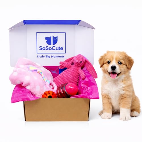 SoSoCute Puppy Starter Kit