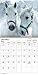 2023 Horses Mini Wall Calendar
