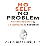 Cover of No Self, No Problem