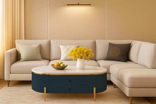 Image of WOODEN SPACE Premium Moderno Marble-Top Coffee Table with Storage Drawer & PVD Coated Iron Legs | Oval Wooden Center Table for Living Room & Entryway (Blue)