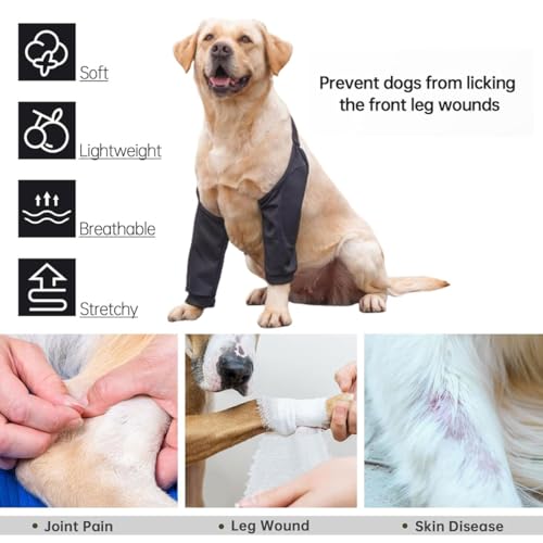 QEDBOJE Hundebeinschutz Ellenbogenbandage Hund verhindert das Lecken von Wunden hilft bei Arthritis (XL für mittelgroße und große Hunde)