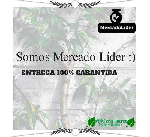 6 Pacotes Super Chá Sb Maravilhas Da Terra- Líder Em Vendas