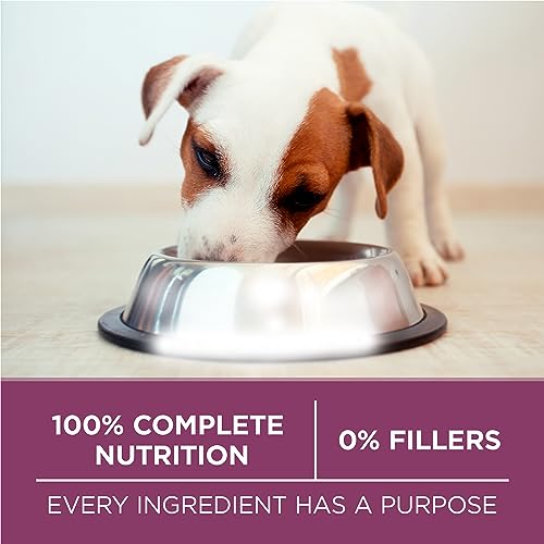 Purina ONE Dry Puppy Food, +Plus Healthy Puppy Formula Lamb - 12 kg Bag (1 Pack) image 3
