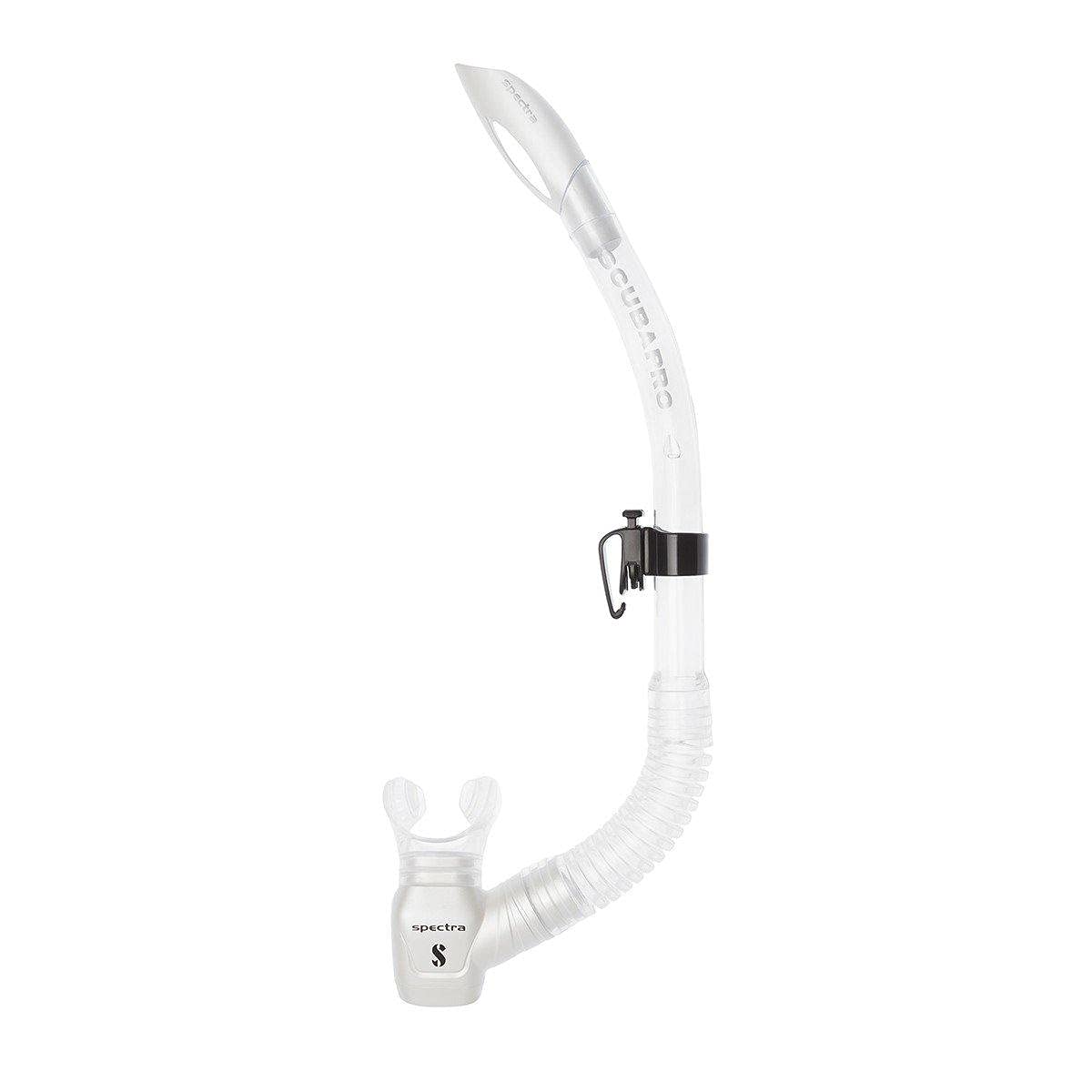 Attache Spectra – snorkeling