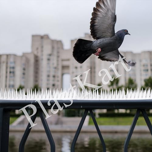 Image of Pigeon Spikes (Pack of 50) Anti Bird Control for Balcony, Railing, Home Window Protection from Pigeon, Dog, Monkey, Crow, Kabootar, Split AC, Spikes with Double Sided Tape (White)