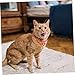 UPKOCH 2pcs Stylish Jewelry with Heart Pendant for Small Dogs and Cats Comfortable Fit for Fashionable Pet Accessories