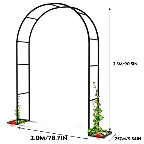 Arche de jardin en métal noir 2,0x2,3m avec cadre acier pour plantes