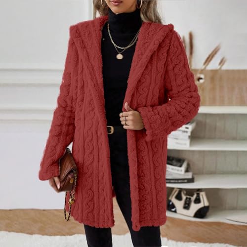 Vneck Jacket for Women Winter Fall Long Sleeve Loose Fit Warm Fuzzy Hooded Cardigan Jacket Hoods Outfit Women 20254
