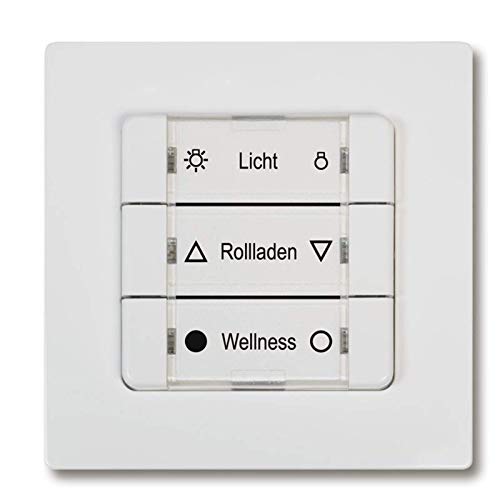 Preisvergleich Produktbild RolloTron Mehrfachwandtaster Rademacher DuoFern