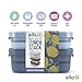 Ello 2-Pack Lunch Stack Plastic Food Storage Container Bento Box with Airtight, Leak-Proof Locking Plastic Lids and Silicone Base, BPA-Free, Freezer, Microwave, and Dishwasher Safe, Blueberry
