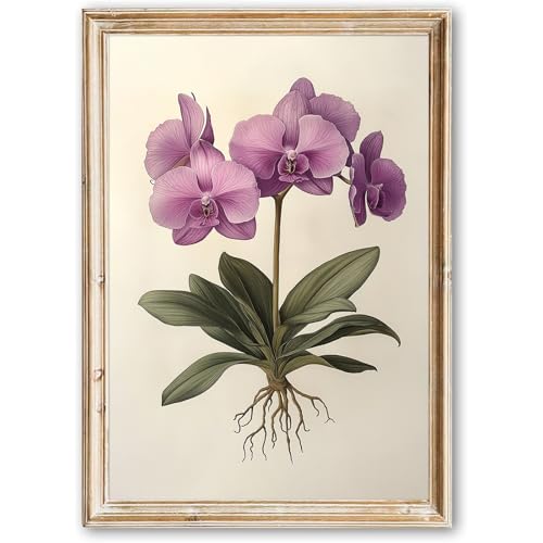 Vintage Flowers Canvas Wall Art Antique Botanical Prints Vintage Purple Floral Art Antique Plant Pictures Vintage Flower Poster Herb Paintings For Kitchen Art Botanical Artwork 16x24inch No Frame