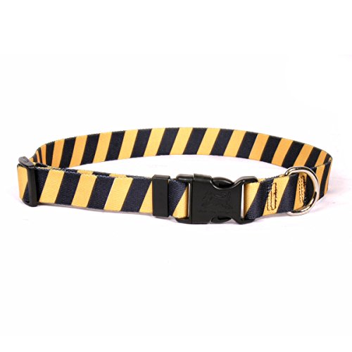 Image of Yellow Dog Design Team Spirit and Black Dog Collar with Tag-A-Long ID Tag System-Medium-1 inch Neck 14 to 20 inch