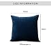 SPECOOL 2 Piezas Fundas Cojines de Terciopelo 45x45cm Fundas de Almohada Decoración...