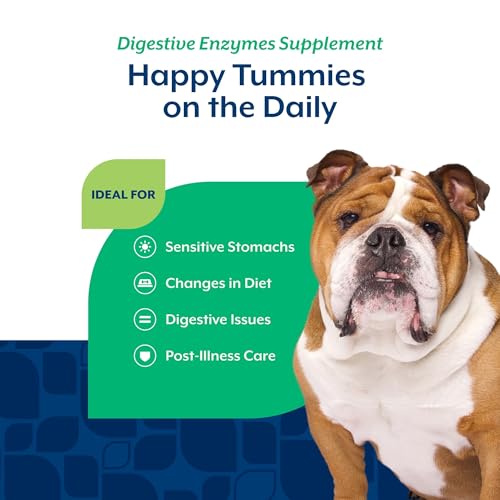 Image of NaturVet Digestive Enzymes with Pre & Probiotic Dog Supplement - 70 Count