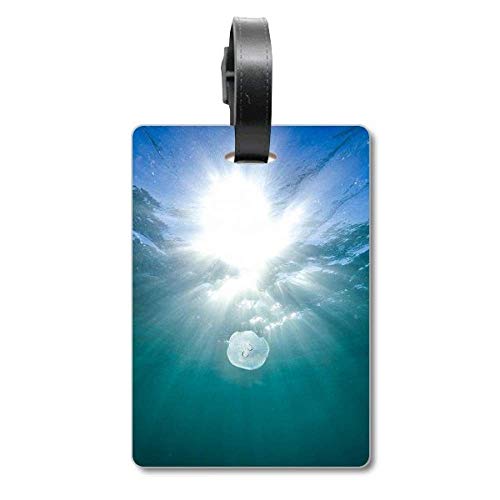 Étiquette d'identification pour valise voyage ocean water science nature photo