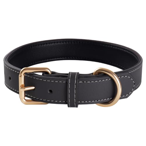 Genuine Leather Padded Dog Collar Comfortable Strong Soft Collars Best for Small Medium and Large Breed Dogs （Grey）(L)