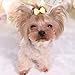 aoozleny Pet Hair Clips, Bowknot Bows Dots Pet Hair Clips for Cats Dog Puppy,Random Color,24PCS