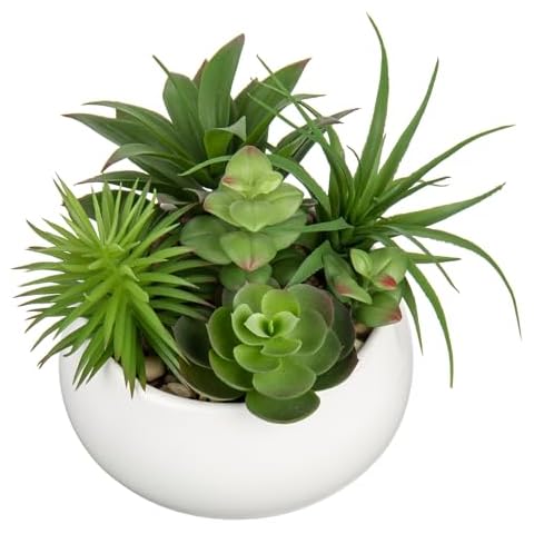 Plantes succulentes artificielles Arborus Cover
