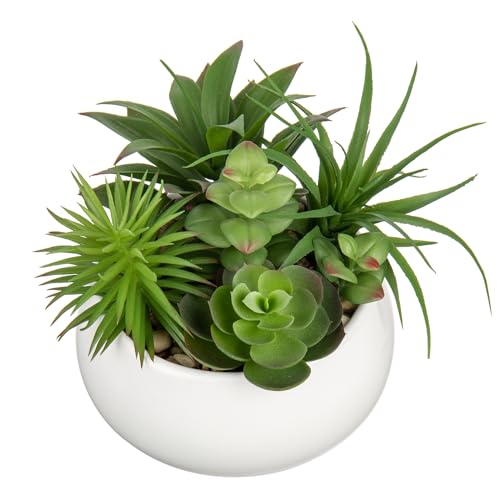 Fake Plants Artificial Succulents in Pots Faux Succulent Arrangement Potted Plant in White Ceramic Planter Bowl for Home Decor Office Desk Bathroom Shelf Living Room Indoor Decorations