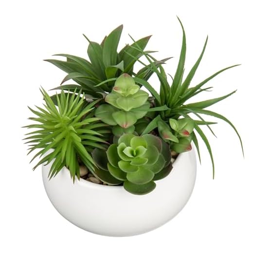 Arborus Plantes succulentes artificielles en pot de 17 cm - Petites plantes artificielles avec pot en céramique blanche - Pour bureau, salon, chambre à coucher, rebord de fenêtre, cuisine