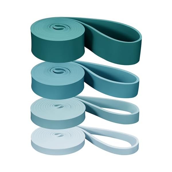 Retrospec Lift Resistance Pull Up Assistance Band Set for Working Out, Home Fitness, Toning, Stretching. Physical Therapy, Muscle Training & Exercise - Lightweight & Portable for Men & Women