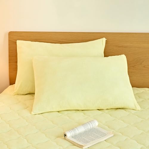 ���J�o�[ 43×63 �^�I���n ���炳�� ���[���� �p�C�� �� �R�� �܂���J�o�[ �􂦂� �s���P�[�X �I�[���V�[�Y�� [M�� 1/1] COYOLI 50351 (1, �o�^�[�C�G���[)